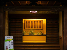 Local shrine entrance between residential buildings Photo by Kouji Tsuru on Unsplash
