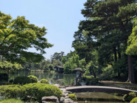 Shaded path through Japanese garden with pond Photo by Ikko Nishimura on Unsplash