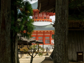 Ancient temple buildings surrounded by cedar forests Photo by Laurent Gence on Unsplash