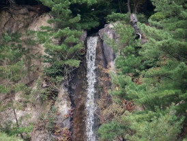 Waterfall cascading down cliff face surrounded by green forest Photo by Kenjiro Koya on Unsplash