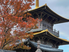 Traditional Kyoto temple with autumn foliage contrasted against modern Osaka skyline in background Photo by Haoli Chen on Unsplash