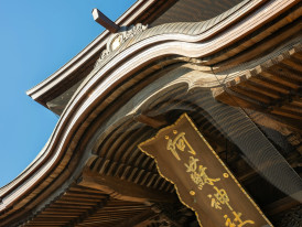 Unique architectural angle showing cultural details often missed by tourists Photo by Kouji Tsuru on Unsplash