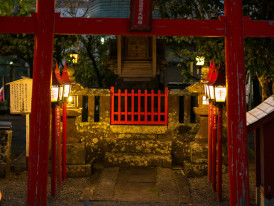 Peaceful evening temple illumination alternative to crowded daytime visits Photo by Kouji Tsuru on Unsplash