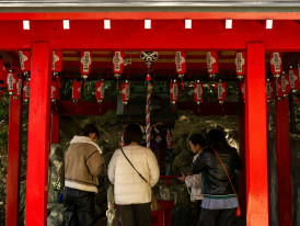 Small intimate group receiving detailed cultural explanation at temple Photo by Kouji Tsuru on Unsplash