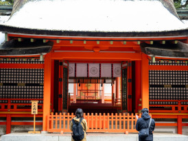 Private one-on-one cultural exchange between traveler and knowledgeable local host Photo by Kouji Tsuru on Unsplash