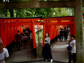 Host adapting temple visit based on traveler's demonstrated photography interests Photo by Kazuo ota on Unsplash