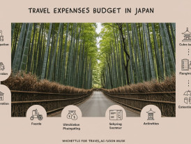 Multiple small travel expenses adding up throughout intercity day trip