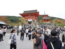 Unscripted cultural discovery moment during flexible City Unscripted experience Photo by Hahaha A on Unsplash