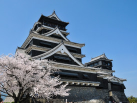 A wide-angle shot of Osaka Castle at sunrise, with cherry blossoms in bloom Image by Kohji Asakawa from Pixabay
