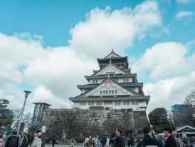 A snapshot of Osaka Castle from an unusual angle
