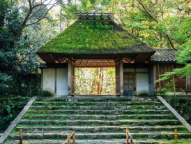 Kyoto temple in soft morning light, calm and empty before visitors arrive.