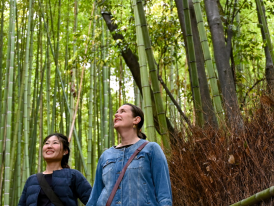 Visitors walking along the paths of Arashiyama Bamboo Forest in Kyoto.
