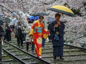 Early morning commuters at Keage Station with cherry blossoms blooming along the edge of the platform.