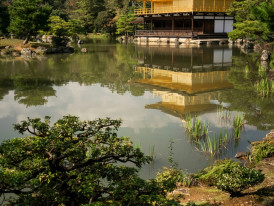 The golden Kinkaku-ji temple perfectly reflected in the surrounding pond on a still morning Photo by Svetlana Gumerova on Unsplash