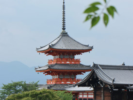 Multiple UNESCO World Heritage temples in Kyoto showing architectural diversity and preservation efforts Photo by Richard Shan on Unsplash