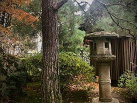 Morning mist settles over a moss-covered stone lantern in a secluded temple garden. Image by Jason Schliecher from Unsplash