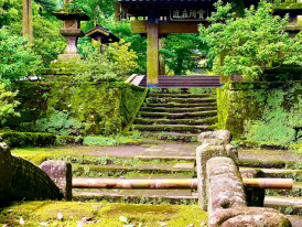 Traditional thatched temple building surrounded by emerald moss gardens. Image by Dominic Paetsch from Unsplash