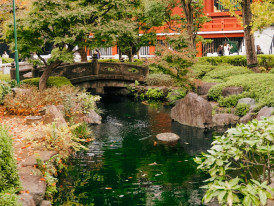Secluded temple garden with a small pond and stone bridge. Image by Micah Camper from Unsplash