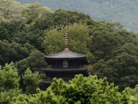 Temple building perched on a mountainside surrounded by dense forest. Image by Nerissa J from Unsplash