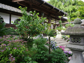  Private residential garden with traditional stone lantern and carefully pruned plants. Image by Naoki Suzuki from Unsplash