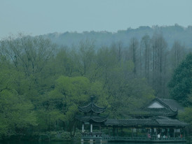 Spring morning mist rising from a temple pond surrounded by new green leaves. Image by Huang 211 from Unsplash