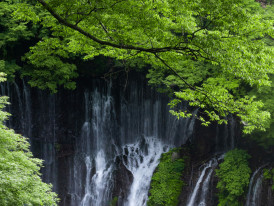 Mountain waterfall surrounded by lush forest vegetation and moss-covered rocks. Image by Ashikur Rahman from Unsplash