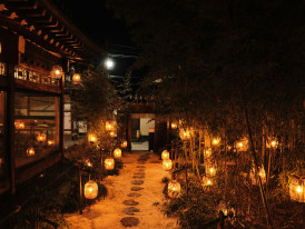 Garden illumination at night with stone lanterns and subtle lighting effects Photo by Austin Curtis on Unsplash