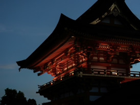 Golden hour light filtering through temple grounds Photo by Weichao Deng on Unsplash