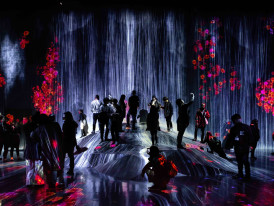Visitors at teamLab, Tokyo, Japan