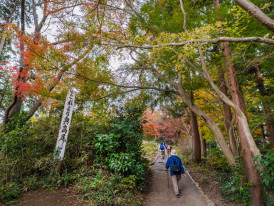 Solo traveler hiking in Tokyo
