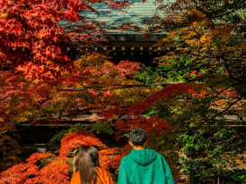 Visitors dressed appropriately for autumn temple visiting. Image by Tantan Wiguna from Unsplash