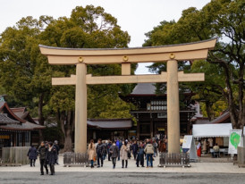 Torii Gate at Meiji Jingu Shrine
