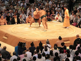 Sumo tournament. Photo by Cesar I. Martins via Wikicommons