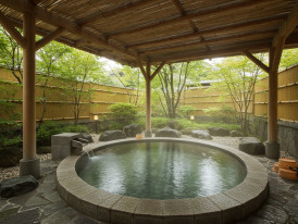 Onsen hot springs near Tokyo