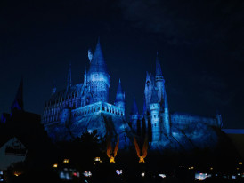 Hogwarts Castle illuminated at night with crowds gathered below.Photo by fan yang on Unsplash