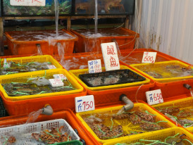Fresh seafood display at Kuromon Market with price tags in Japanese. Photo by Hailey Tong on Unsplash