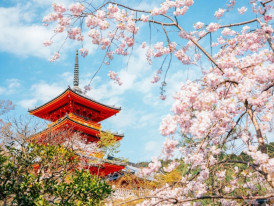 Five-story pagoda at Shitennoji Temple with cherry blossoms in foreground.