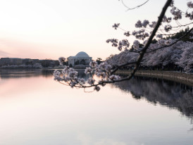 City Unscripted article image