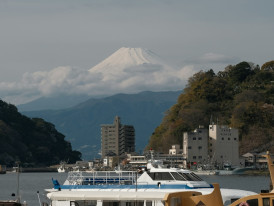 Ferry from Miyajimaguchi Photo by b_rolls on Unsplash