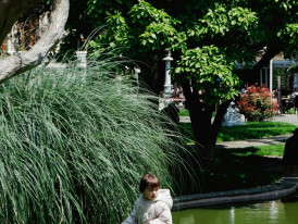 Children playing in Nagai Botanical Gardens Photo by M e r v e on pexels