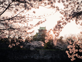 A sunset view over Osaka with the castle, Photo by Satoshi Hirayama on pexels