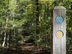 A traditional Japanese hiking trail marker post with multiple wooden signs pointing to different places Image by Dan Keck from Pixabay
