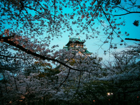 Osaka Castle framed behind cherry trees. Photo by Michael Busch on Unsplash
