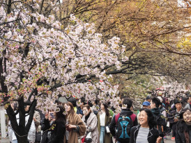 A guest snapping photos of the surroundings while the host enthusiastically explains a cultural detail, both immersed in the vibrant Osaka setting.