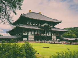 View of Hozenji temple. Photo by Halil Fatih Çetin Pexels