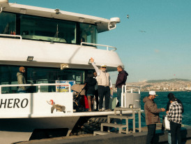 Happy cruise passengers waving a warm farewell to their local host as they return to their ship Photo by Eyüpcan Timur on pexels
