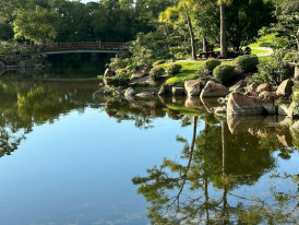 Beautifully manicured landscapes with serene ponds reflecting blue sky at Tennoji Park Photo by Carmen Alma on Unsplash
