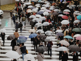 Rainy Streets in Osaka: Photo by Keke Cheng: Pexels