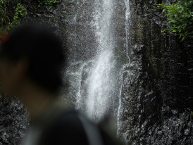 Hidden waterfall in urban park setting, guests discovering natural beauty. Photo by Huang 211 on Unsplash