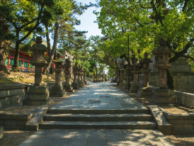 Photo by Ryutaro Tsukata: Pexels